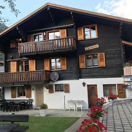 Apartment Galmihorn *